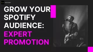Grow Your Spotify Audience: Expert Promotion