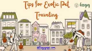 Things To Remember While Traveling With Your Exotic Pets