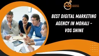 Best Digital Marketing Agency in Mohali - VDS Shine