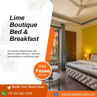 Best Couple Friendly Hotel in Kailash Colony | Lime Tree Hotels