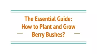 The Essential Guide: How to Plant and Grow Berry Bushes