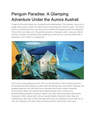 Penguin Paradise_ A Glamping Adventure Under the Aurora Australi