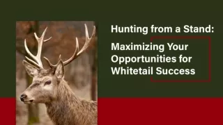Professional Deer Hunting Guides for a Successful Expedition