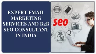 Expert Email Marketing Services and B2B SEO Consultant in India