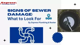 Signs of Sewer Damage