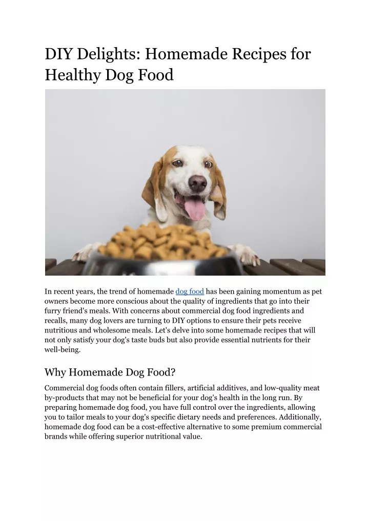 diy delights homemade recipes for healthy dog food