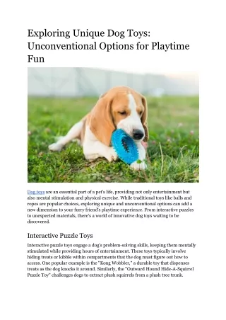 Exploring Unique Dog Toys_ Unconventional Options for Playtime Fun