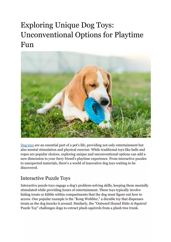 exploring unique dog toys unconventional options