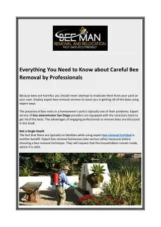 Everything You Need to Know about Careful Bee Removal by Professionals