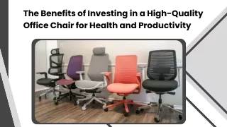 Ergonomic Office Chairs Collection
