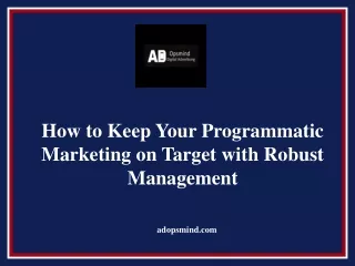 How to Keep Your Programmatic Marketing on Target with Robust Management