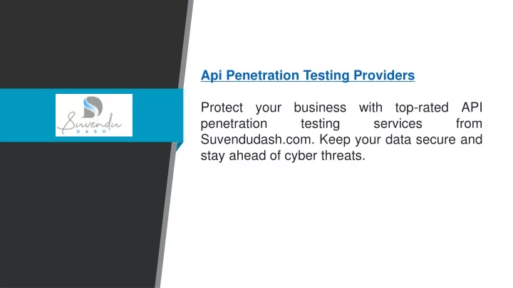 api penetration testing providers protect your