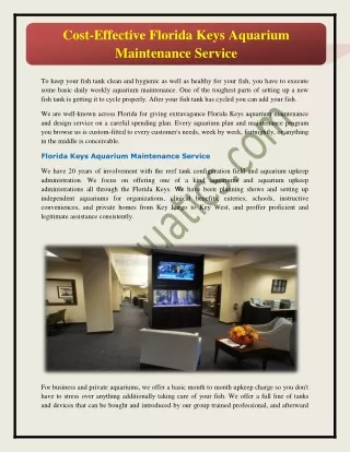 Cost-Effective Florida Keys Aquarium  Maintenance Service