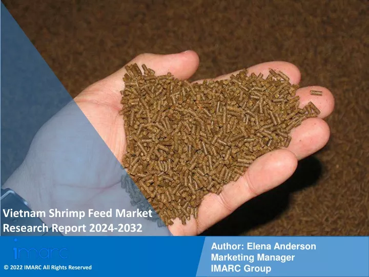 vietnam shrimp feed market research report 2024