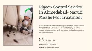 Pigeon Control Service in Ahmedabad, Best Pigeon Control Service in Ahmedabad