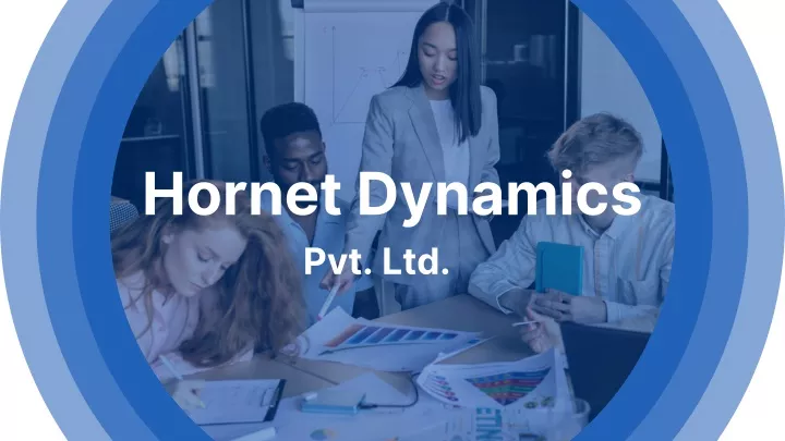 hornet dynamics pvt ltd