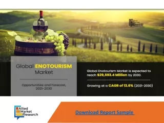Enotourism Market