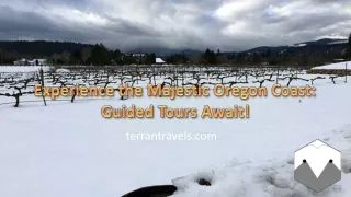 Experience the Majestic Oregon Coast Guided Tours Await!
