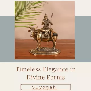 timeless elegance in divine forms