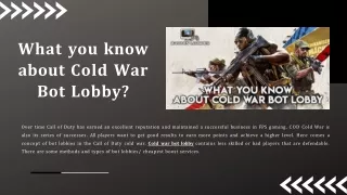 What you know about Cold War Bot Lobby?