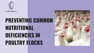 Preventing Common Nutritional Deficiencies In Poultry Flocks (PPT)