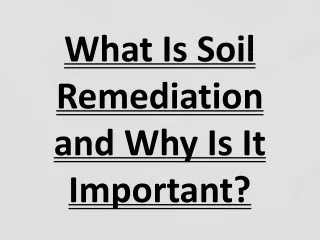 What Is Soil Remediation and Why Is It Important