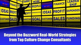 Beyond the Buzzword Real-World Strategies from Top Culture Change Consultants
