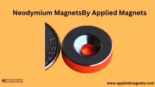 Neodymium Magnets