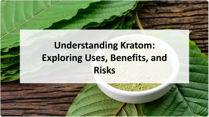 understanding kratom exploring uses benefits