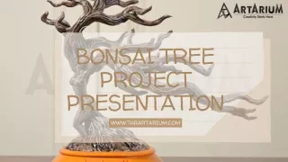 Bonsai Tree01