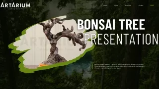 Bonsai Tree – theartarium