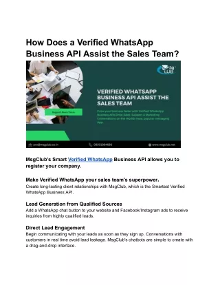 How Does a Verified WhatsApp Business API Assist the Sales Team_