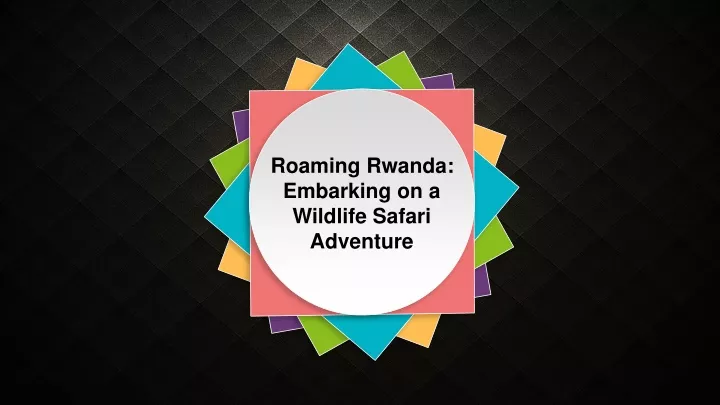 roaming rwanda embarking on a wildlife safari