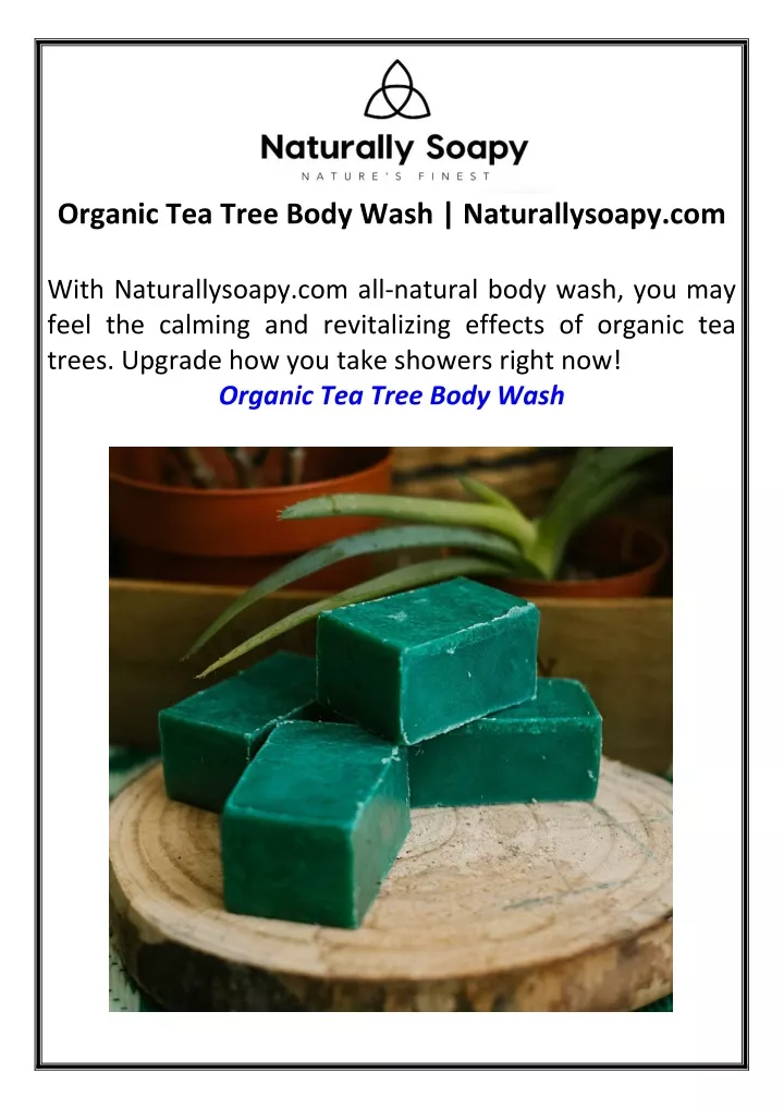 organic tea tree body wash naturallysoapy com