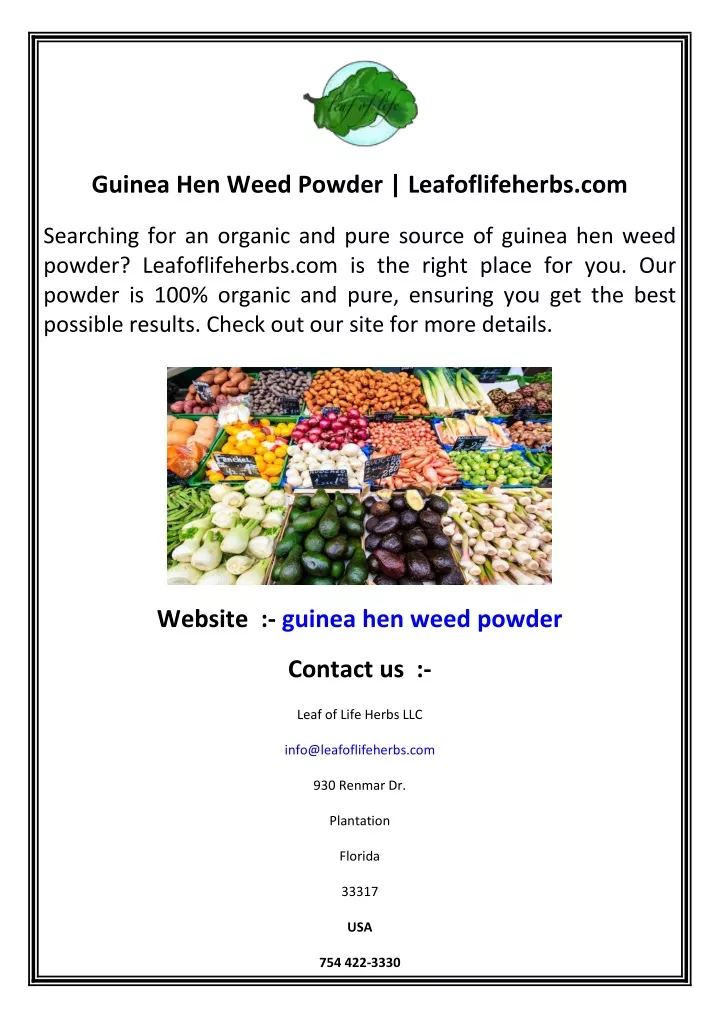 guinea hen weed powder leafoflifeherbs com