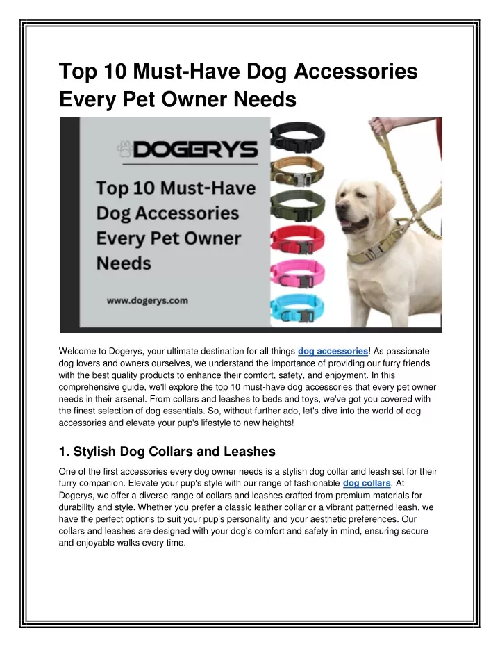 top 10 must have dog accessories every pet owner