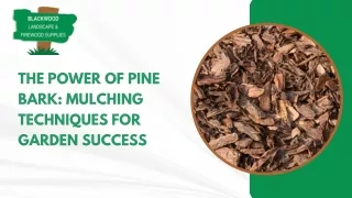 The Power of Pine Bark Mulching Techniques for Garden Success