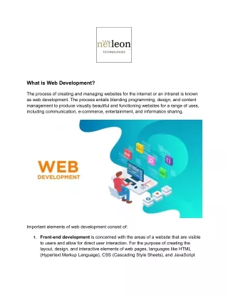 what is web development