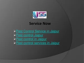 Effective Pest Control Service in Jaipur
