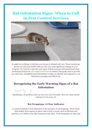 Don't Let Rats Rule Your Roost: Spotting Signs of an Infestation