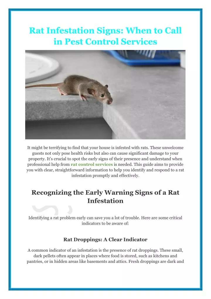 rat infestation signs when to call in pest