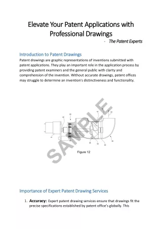 Elevate Your Patent Applications with Professional Drawings | The Patent Experts