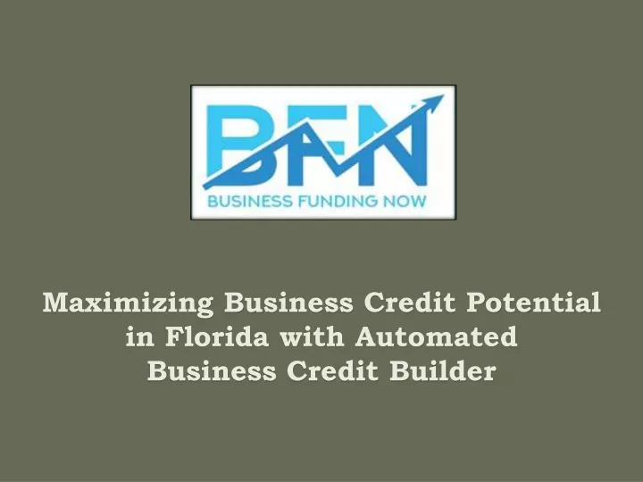 maximizing business credit potential in florida