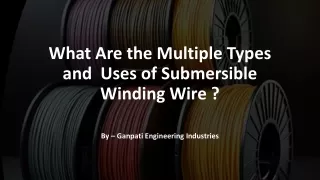 What Are the Multiple Types and Uses of Submersible Winding Wire ?