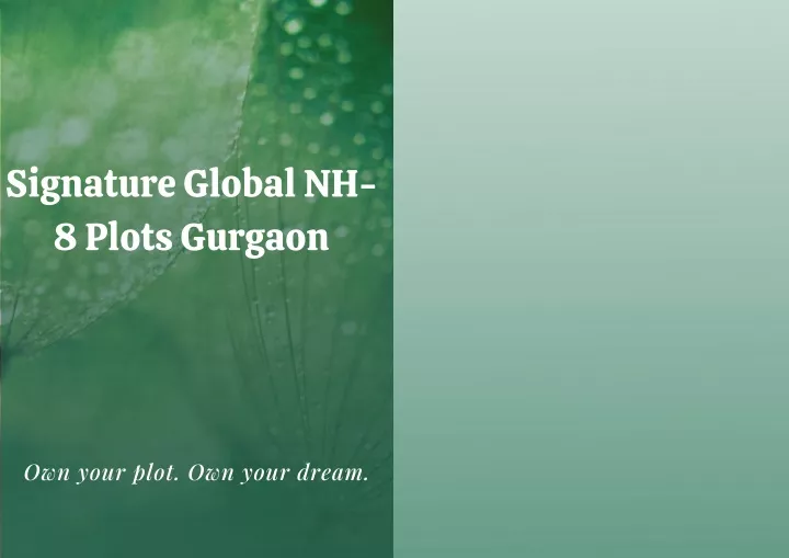 signature global nh 8 plots gurgaon