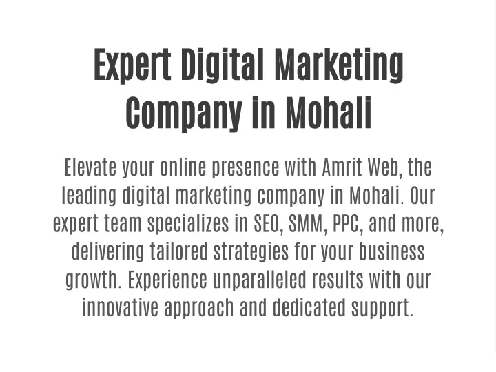 expert digital marketing company in mohali