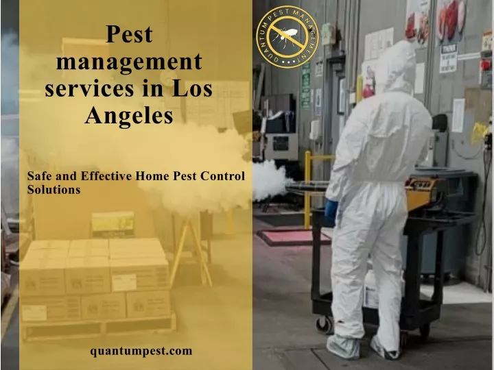 pest management services in los angeles