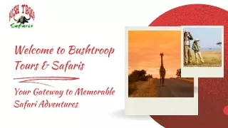 Your Gateway to Memorable Safari Adventures