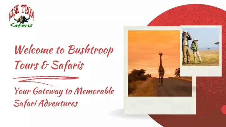 welcome to bushtroop tours safaris