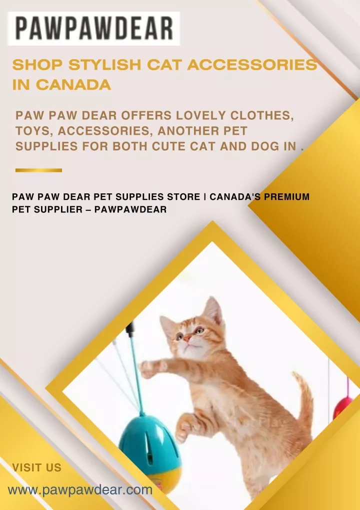 shop stylish cat accessories in canada